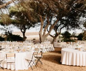 Catering S'Ambosta Obrador, Es Mercadal, Menorca – foto 11
